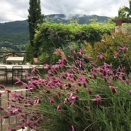 Agriturismo Braccicorti Hotel Pieve Fosciana Екстериор снимка