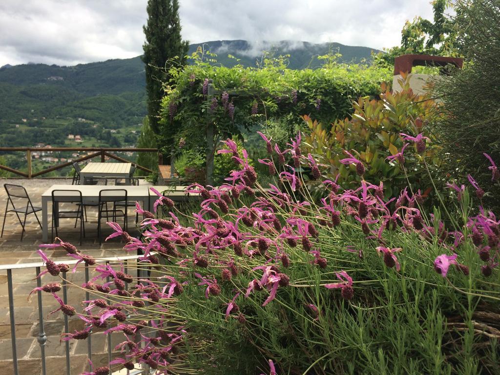 Agriturismo Braccicorti Hotel Pieve Fosciana Екстериор снимка