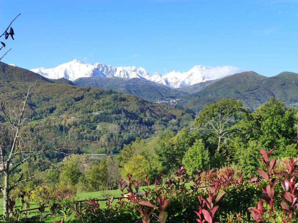 Agriturismo Braccicorti Hotel Pieve Fosciana Екстериор снимка