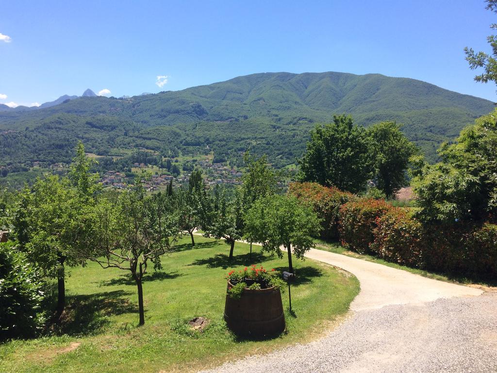 Agriturismo Braccicorti Hotel Pieve Fosciana Екстериор снимка