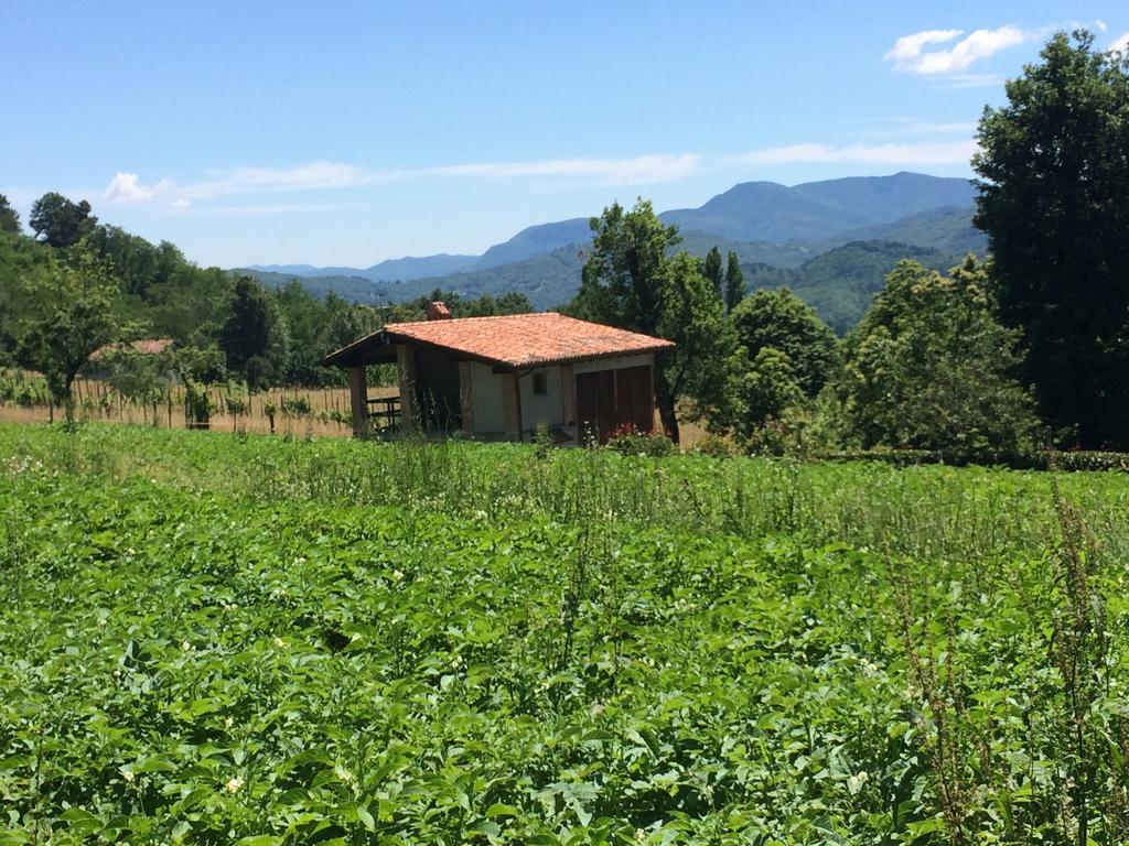 Agriturismo Braccicorti Hotel Pieve Fosciana Екстериор снимка