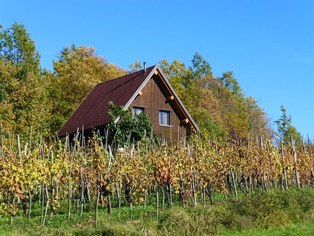 Agriturismo Braccicorti Hotel Pieve Fosciana Екстериор снимка