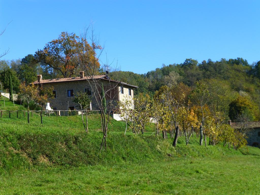 Agriturismo Braccicorti Hotel Pieve Fosciana Екстериор снимка
