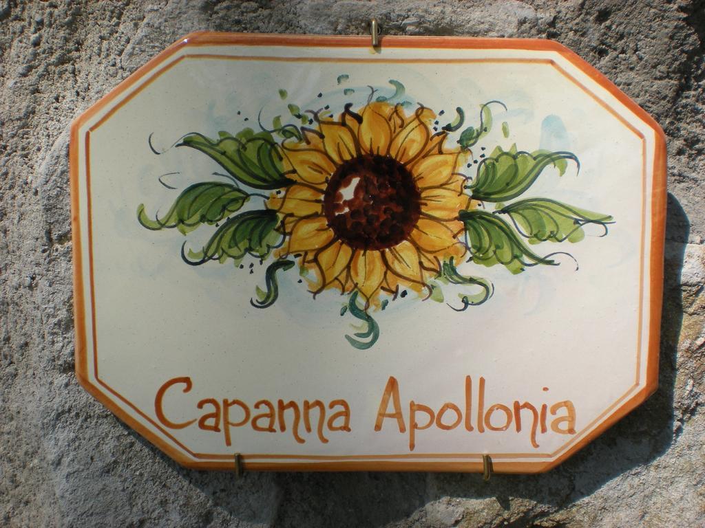 Agriturismo Braccicorti Hotel Pieve Fosciana Екстериор снимка
