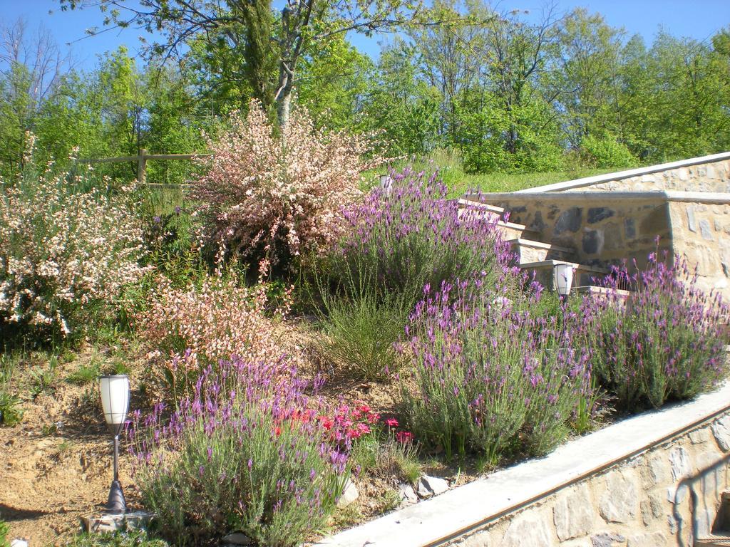 Agriturismo Braccicorti Hotel Pieve Fosciana Екстериор снимка