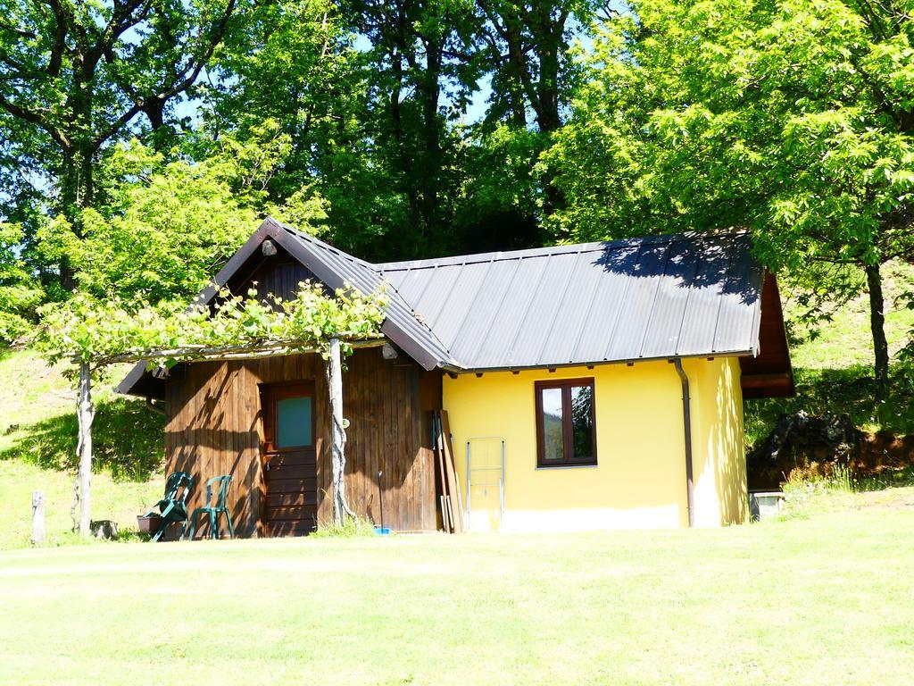 Agriturismo Braccicorti Hotel Pieve Fosciana Екстериор снимка
